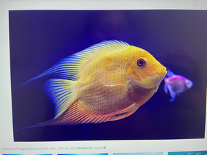 Reeling in Adventure: A Galibore Fishing Expedition to Remember