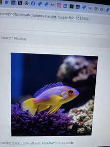 Galibore Fishing Adventure - Serene Backdrop, Abundant Catches