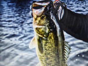Ray chatter fishing eve.