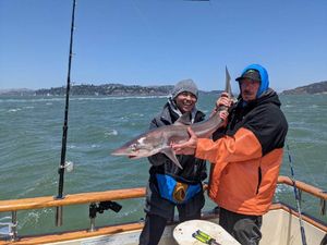 Discover SF's fishing secrets!