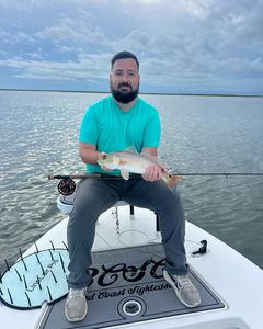 First Fly, First Red, Big Day