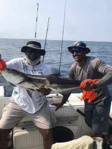 Great trip today, beautiful ocean.