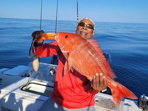 Snapper Limit Reached—Now Hauling in Giant Seabass Over 18"