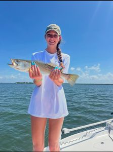 Back at it! Mr. Paul’s crew reeling them in on Pine Island Sound!