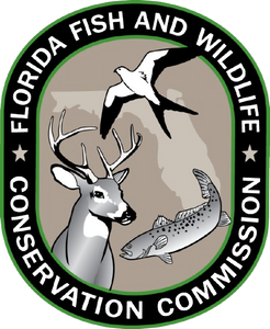 Florida Fishing License