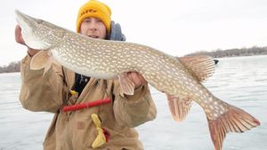 Sturgeon Bay Fishing