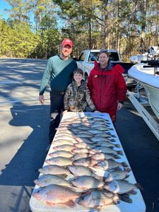 Georgia South Carolina crappie fishing