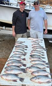 Steady Crappie Business
