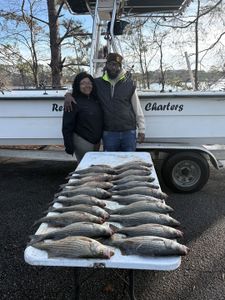 Striper Bonanza on Clark's Hill: Reel Charters Delivers Epic Panfish Adventure"