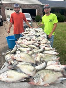 Three-Man Limit on Crappie as the Fall Bite Fires Up on Overcast Day