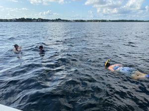 Tampa Bay's snorkeling extravaganza