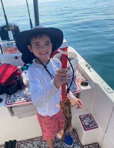 impressive kid reeled in grouper!