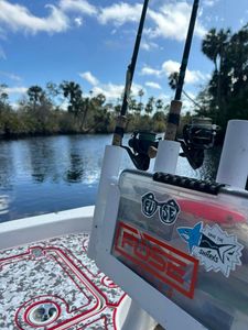 Explore Tampa's premier fishing