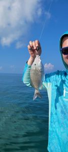 Snappers biting in FL fishing charters!