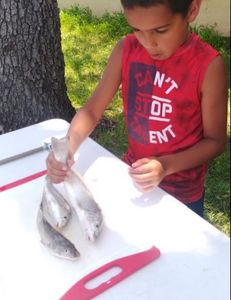 Fishing is becoming a passion for this kid in FL!