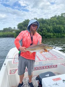 Nice redfish from Florida fishing