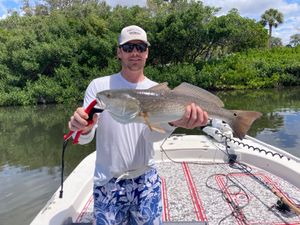 huge redfish reeled in beautiful Florida waters!