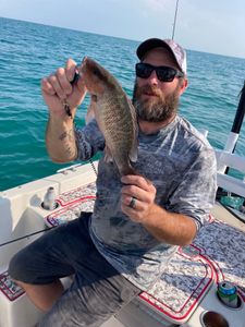 NIce snapper hooked in FL fishing