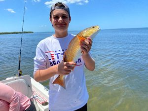Red drum reeled in Florida fishing charters!