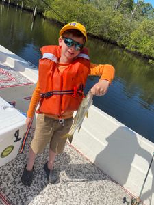 Kid catches snook in FL charters!