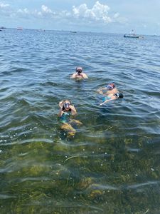 Discover Tampa's snorkeling paradise