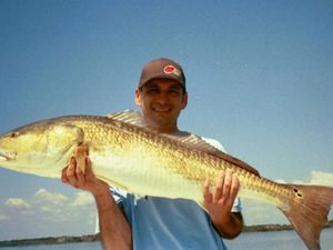 Redfish in the Flats, Tarpon on the Move, and Plenty of Action Along the Coast