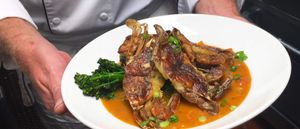 Things to Do in North Carolina