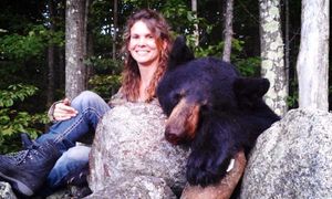 NH Wild Bear Hunting Trip