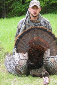 Go Wild For A Turkey Hunting Trip, NH