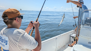 Reeling in Spanish Mackerel Excitement on the Gulf Shores Inshore Adventure