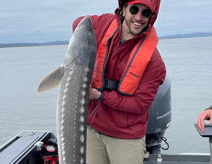 Sturgeon Fishing in Astoria