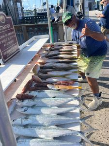 Yellowtail limit and a full fish box