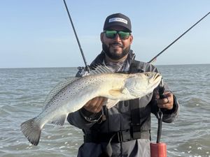 Summer Bites Are On Fire Along the South Texas Coast