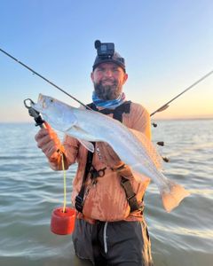 Capt. Marvin opens up April through July availability for prime Laguna Madre inshore fishing trips.