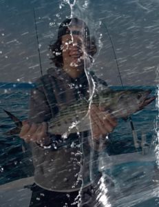 Bonito in July at the Cape