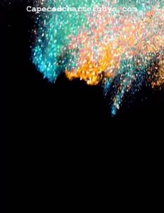 Cape cod fishing charters