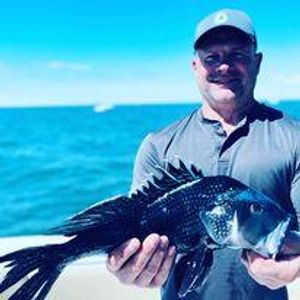 Black Sea Bass is a great fishing time in Cape Cod