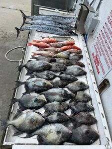 Murrells Inlet Fishing for Inshore Species