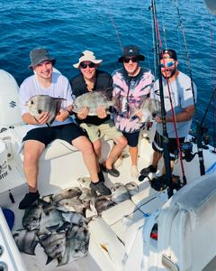 Red-hot bite on the Gulf!