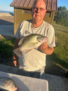 Mississippi Fishing License Information for Travelers and Anglers