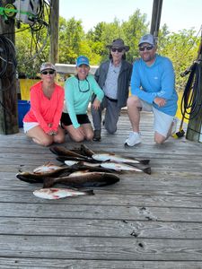 Florida invasion
