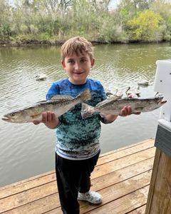 Big speckled trout near New Orleans, Louisiana