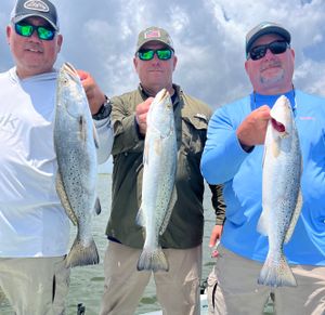 Big trout are here!!!