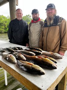 Beating the odds with reds