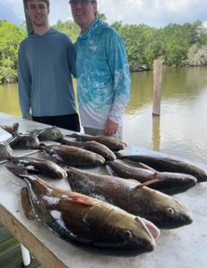 Early morning reds