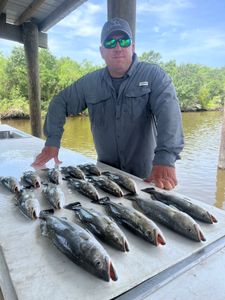 Early trout limit to beat the heat