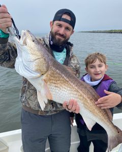 Giant father and son redfish