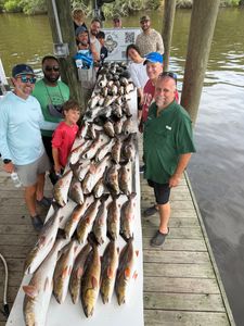 Rainy day reds