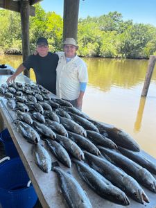 Big trout Smackdown 