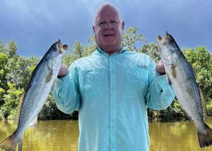  Shell Beach Gold: Finding the Best Limits in the Forgotten Coast